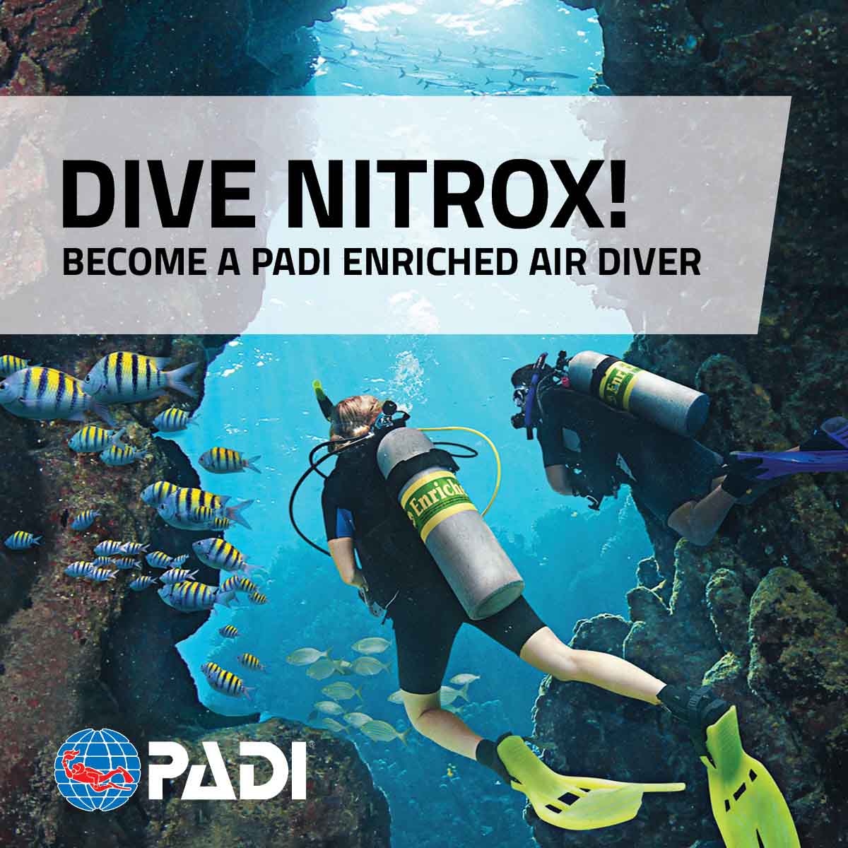 Specialties - Nitrox Scuba diving boat trips Zakynthos Padi Zante Diving